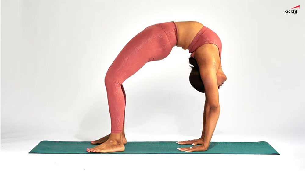 Tư thế bánh xe trong Yoga Hướng dẫn, lợi ích và biến thể